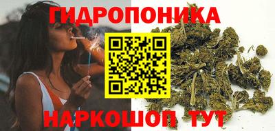 молекула духа Усть-Илимск